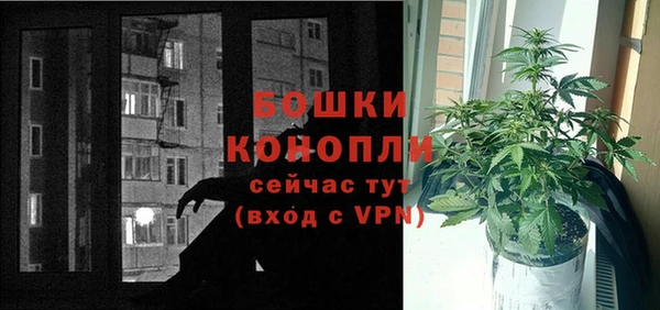 индика Тавда