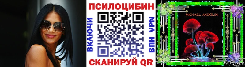omg зеркало  Нариманов  Галлюциногенные грибы мицелий 